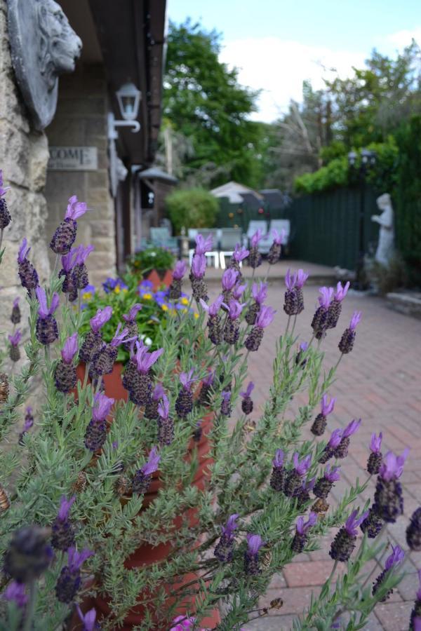 אשבורן Castle Green Bed And Breakfast מראה חיצוני תמונה